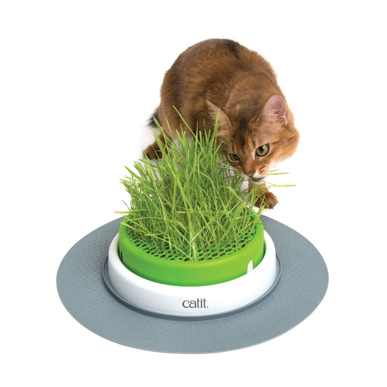 Günstig Catit Senses Grass Planter i mPreisvergleich in unserem Onlineshop auf Hundeliebe-shop.de kaufen.