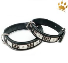 hundehalsband bostongyiKyUFmcQdeB 1280x1280