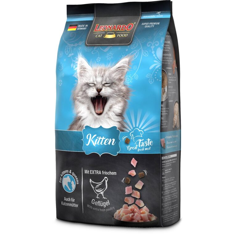 Günstig Leonardo Kitten 1