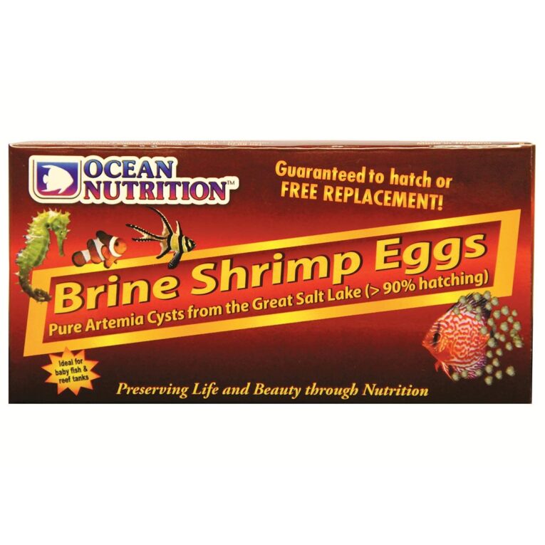 Günstig Ocean Nutrition Artemia/Brine Shrimp Eggs 20g i mPreisvergleich in unserem Onlineshop auf Hundeliebe-shop.de kaufen.