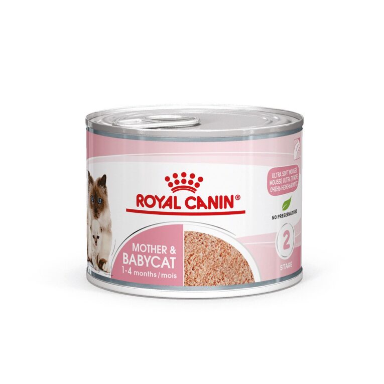 Günstig ROYAL CANIN MOTHER & BABYCAT Mousse für tragende Katzen und Kitten 12x195g i mPreisvergleich in unserem Onlineshop auf Hundeliebe-shop.de kaufen.