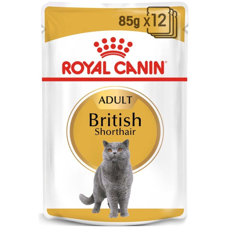 Günstig ROYAL CANIN British Shorthair Adult Katzenfutter nass für Britisch Kurzhaar 48x85g i mPreisvergleich in unserem Onlineshop auf Hundeliebe-shop.de kaufen.