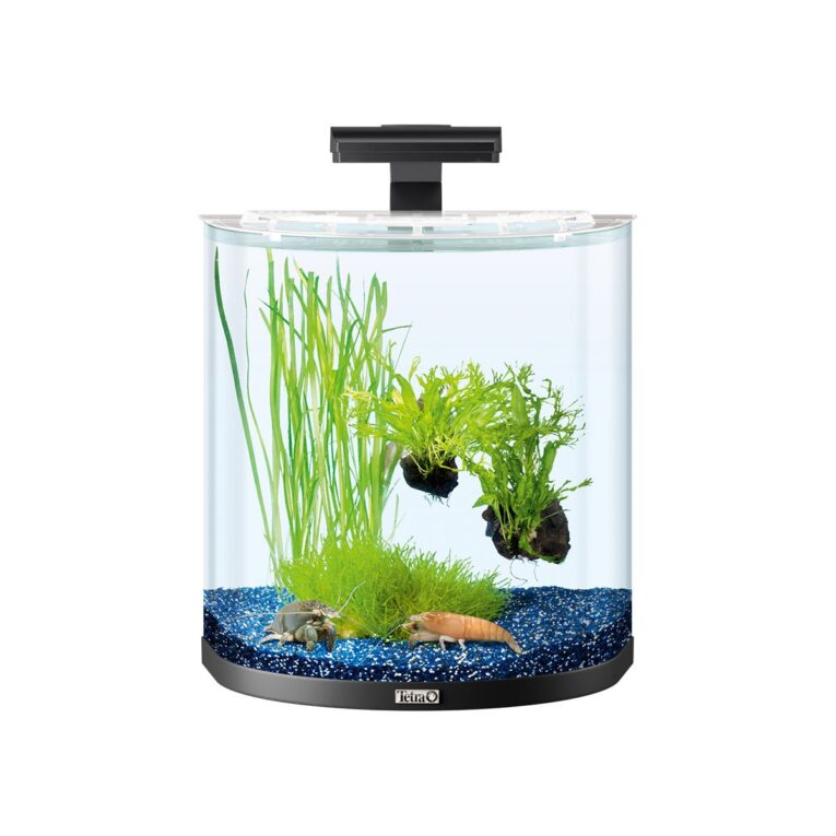 Günstig Tetra AquaArt Explorer Line Halfmoon Komplett-Set 30l anthrazit i mPreisvergleich in unserem Onlineshop auf Hundeliebe-shop.de kaufen.