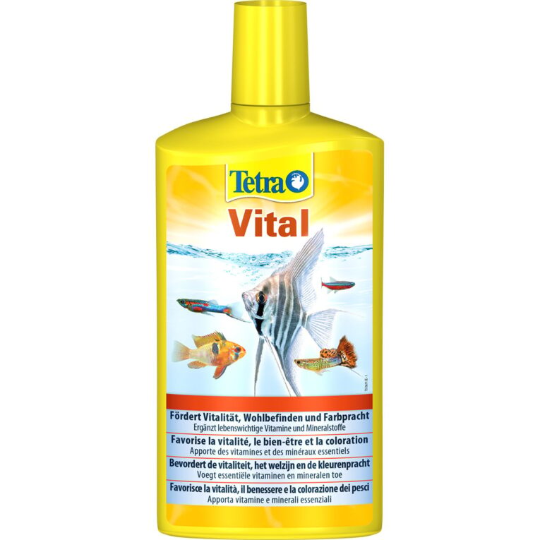 Günstig Tetra TetraVital 500ml i mPreisvergleich in unserem Onlineshop auf Hundeliebe-shop.de kaufen.