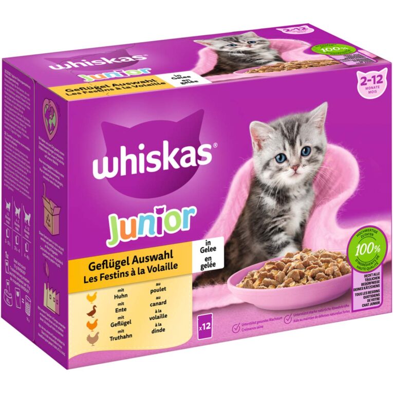 Günstig Whiskas Multipack Junior Geflügel Auswahl in Gelee 12x85g i mPreisvergleich in unserem Onlineshop auf Hundeliebe-shop.de kaufen.