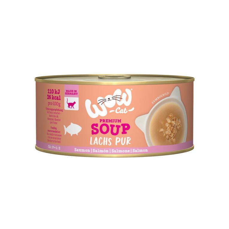 Günstig WOW CAT Suppe mit Lachs 12x70g i mPreisvergleich in unserem Onlineshop auf Hundeliebe-shop.de kaufen.