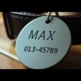 hundemarke personalisiert warum sie wichtig ist lax