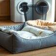 hundebett waschbar die besten modelle im vergleich mvw