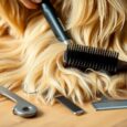 hundeburste fur langes fell die besten losungen goe