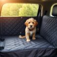 hundedecke furs auto schutz and komfort jhx