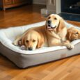 orthopadisches hundebett lohnt sich das wirklich pfr