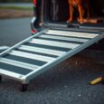 auto hunderampe lange und belastbarkeit wahlen sql